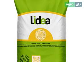 Насіння соняшника ЕС Цейлон СУ