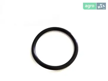 Ущільнювальне кільце R109982R, R109982 до John Deere - фото