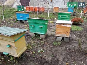 Корпусные ульи и «Украинка»