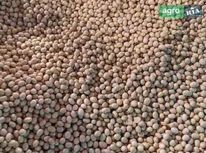 Соя (не ГМО)