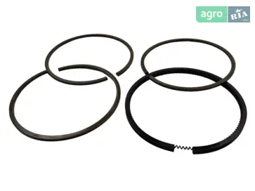 Кольцо маслоотсеченное для мотоблока Добрыня - фото