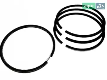 Кольцо маслоотсеченное для мотоблока Bizon - фото