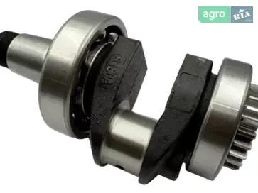 Коленвал для мотоблока Bizon - фото