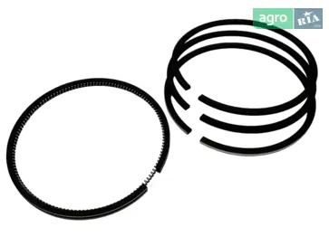 Кільце масловідсічне - фото