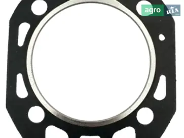 Прокладка для мотоблока Bizon - фото