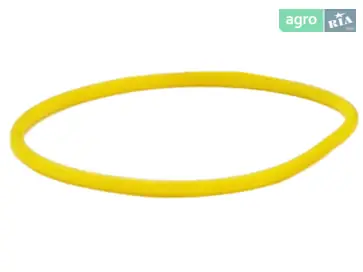 Ущільнювальне кільце до мотоблока Bizon - фото