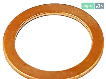 Шайба для мотоблока Bizon - фото