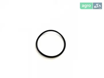 Ущільнювальне кільце L53855R до John Deere - фото