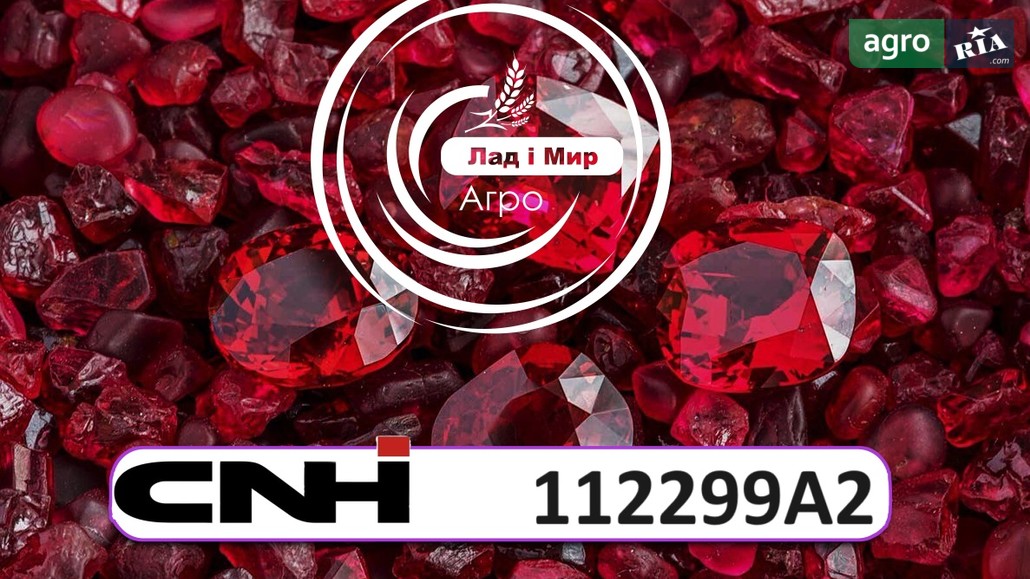 Поршень Case IH 112299A2 до New Holland NH - фото 1