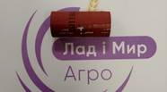 Новий