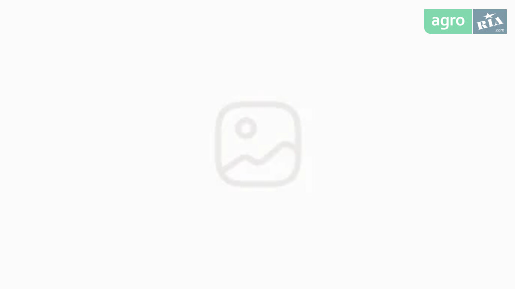 Культиватор Agrokalina КуМ-5.6 2025 - фото 1