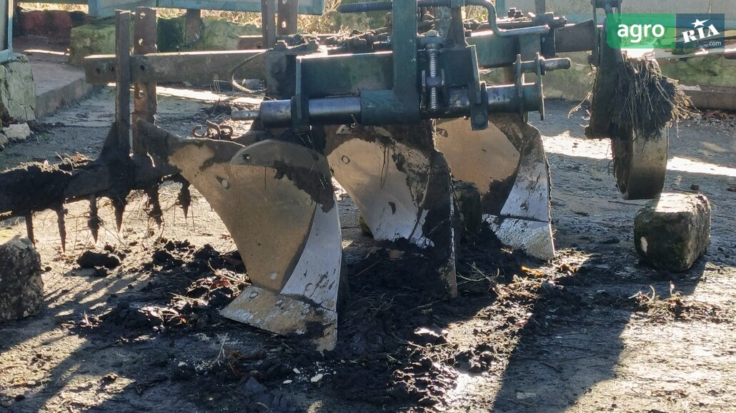 Плуг Bomet 3х30 2000 - фото 1