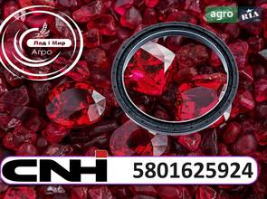 Сальник колінвала задній 5801625924 до Case, New Holland від CNH