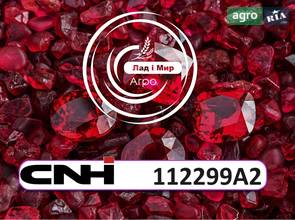 Поршень 112299A2 до Сase, New Holland від CNH