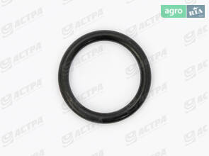 Кільце 13X2-N ORIGINAL 213591.0