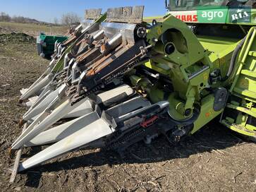 Claas Conspeed 2019 - фото