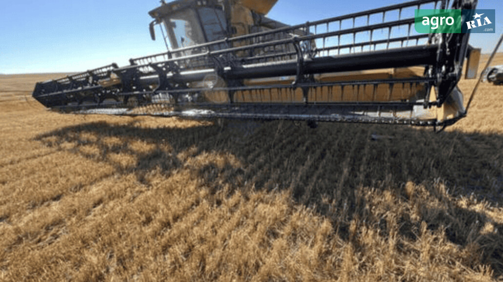 Жниварка Claas Maxflex 1200  - фото 1