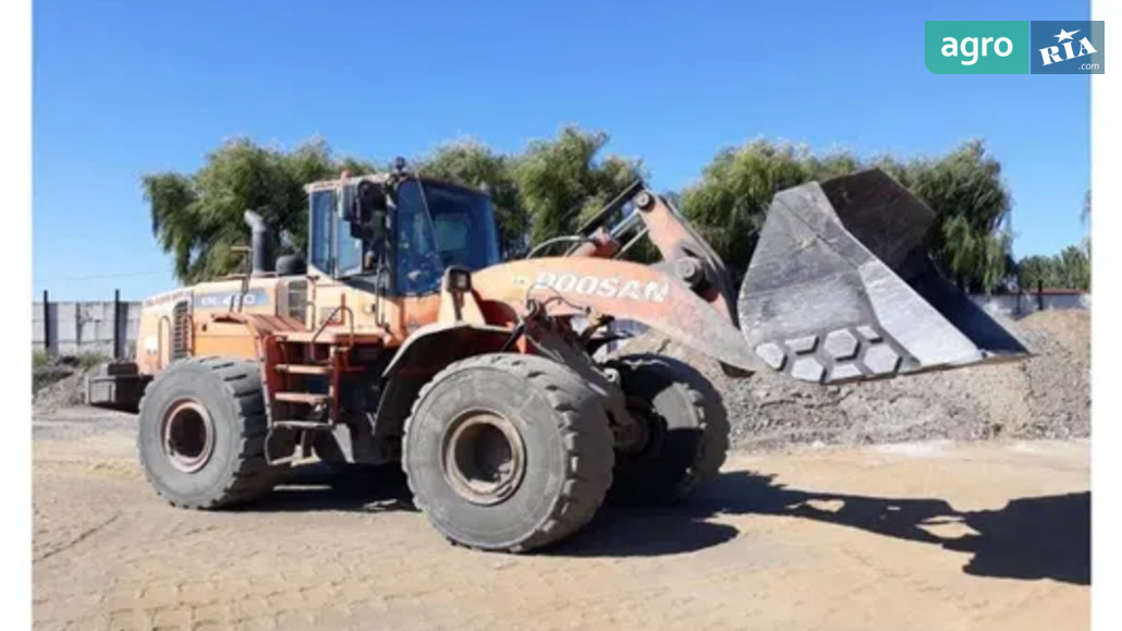 Навантажувач Doosan DL 400 2009 - фото 1