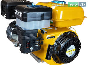  Двигатель FORTE F210G-20 бензиновый 7 л.с. вал 20.00 мм. – шпоночный.