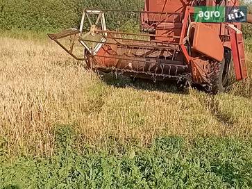 International 531 1967 - фото