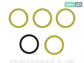Комплект ущільнений сальників гумових кілець гідронасоса RE252945 оригінал John Deere