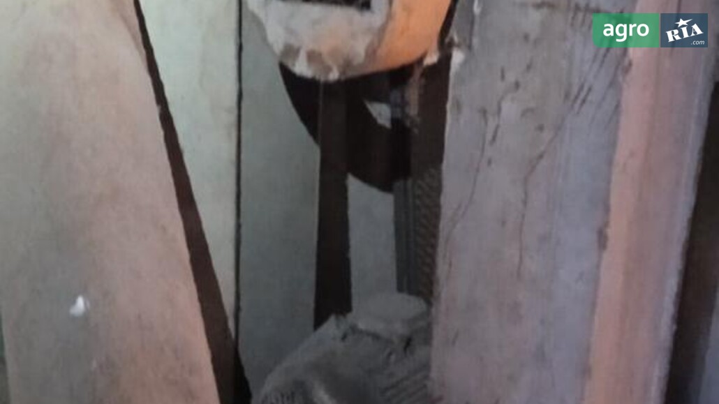 Норія ХМЗ Н-10 2011 - фото 1