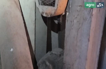 Нория ХМЗ Н-10 2011 - фото