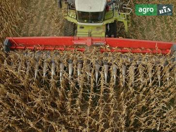 Mainero MDD-200 14 2024 - фото