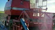 Massey Ferguson 186 - фото 2