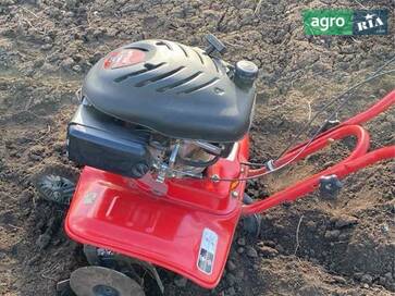 MTD T/245 2025 - фото