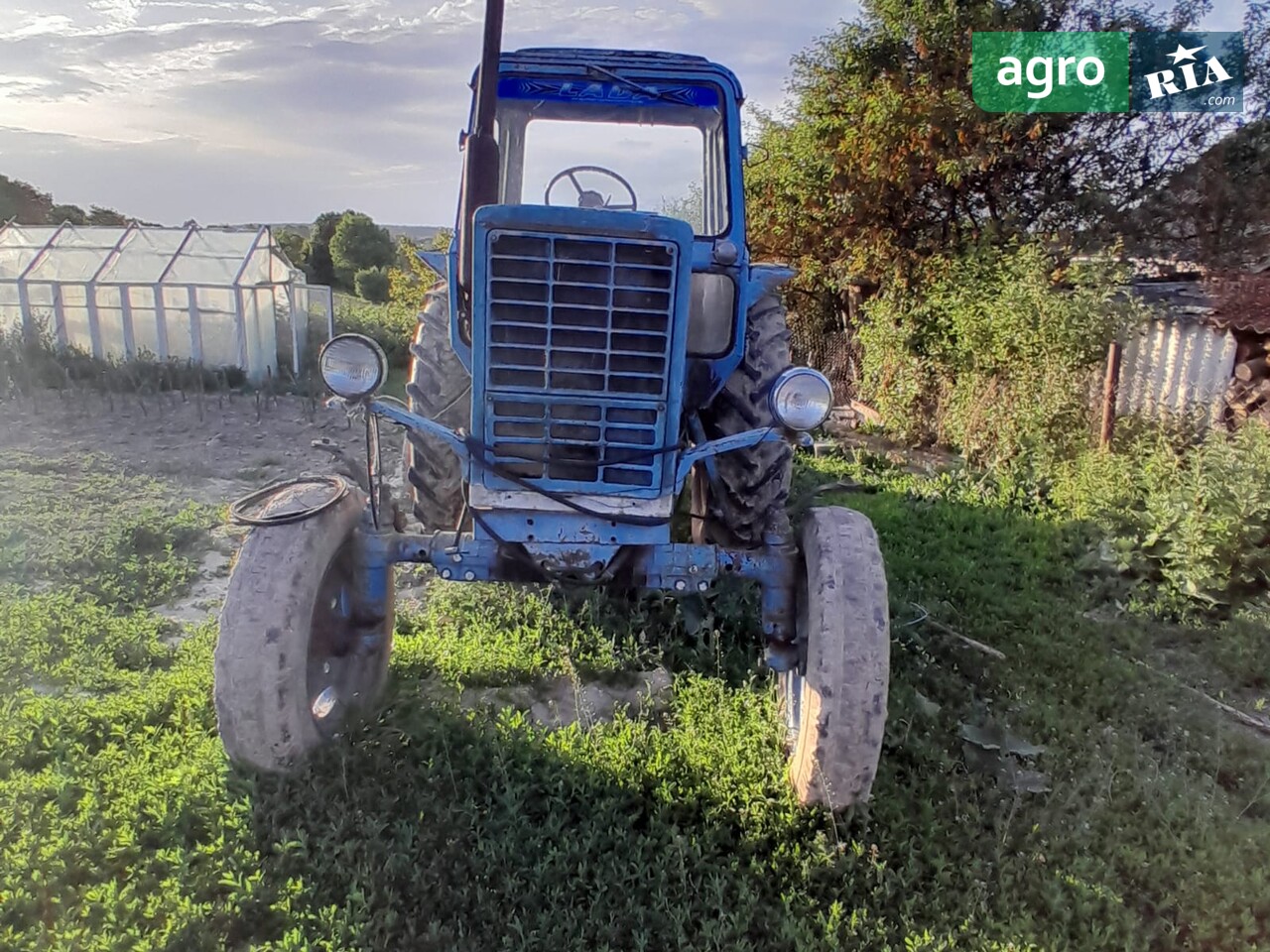Купити Трактор МТЗ 80 Білорус 1989. Б/в. Ціна 4 100 $, Гусятин ...
