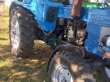 МТЗ 80 Білорус 1984 - фото