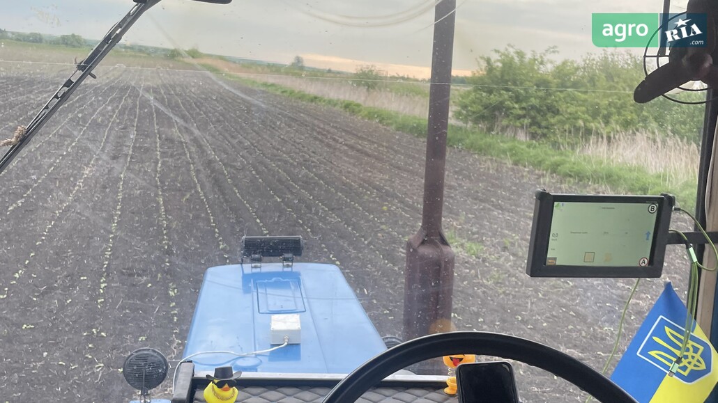 Трактор МТЗ 82 Беларус 1996 - фото 1