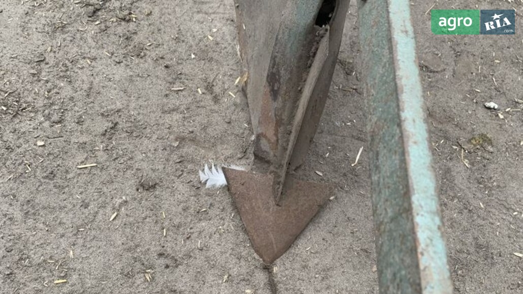 Плуг ПЛН 1-35 2000 - фото 1