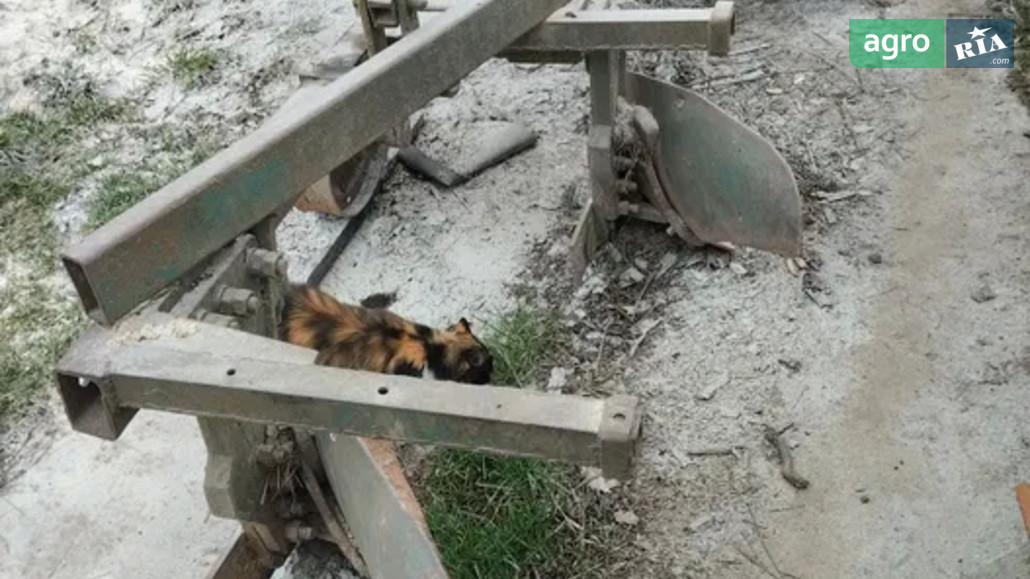 Плуг ПЛН 2-35 2008 - фото 1