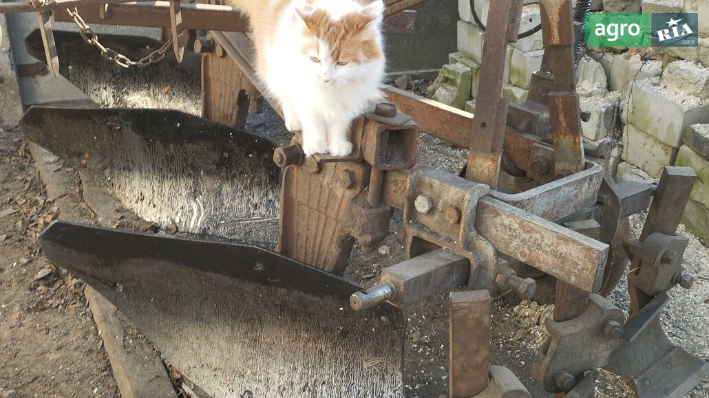 Плуг ПЛН 3-25 2000 - фото 1