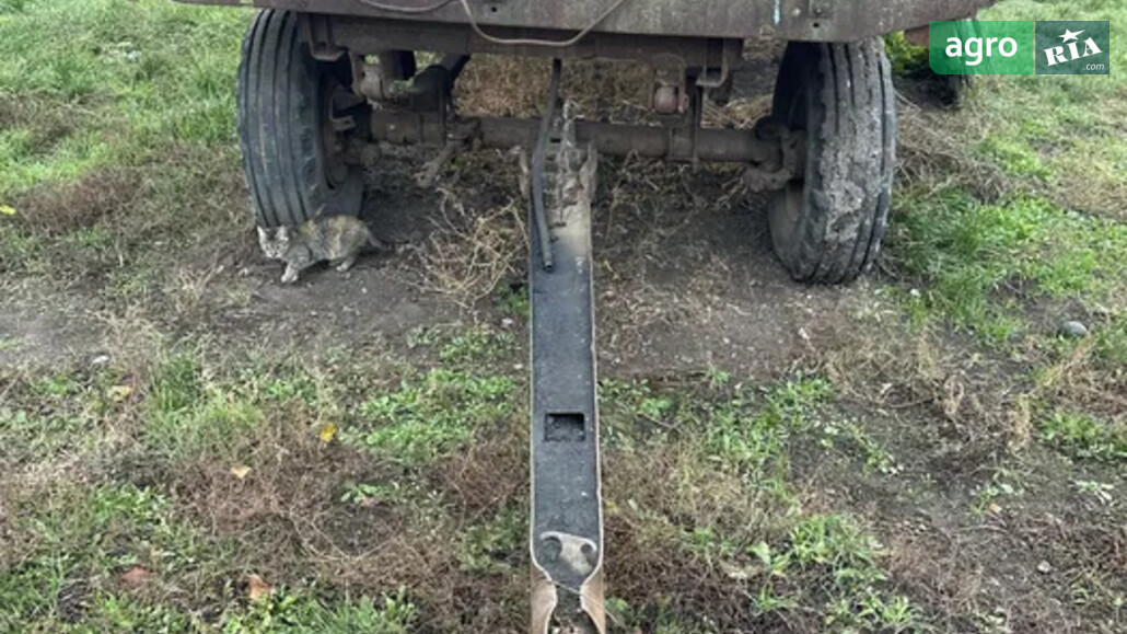 Причіп ПТС 4.2 1989 - фото 1