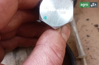 Копач Саморобний   2020 - фото