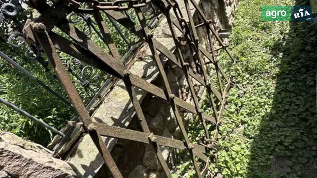 Борона Саморобна   2024 - фото 1