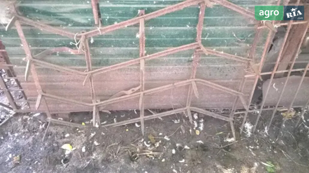 Борона Саморобна   1980 - фото 1