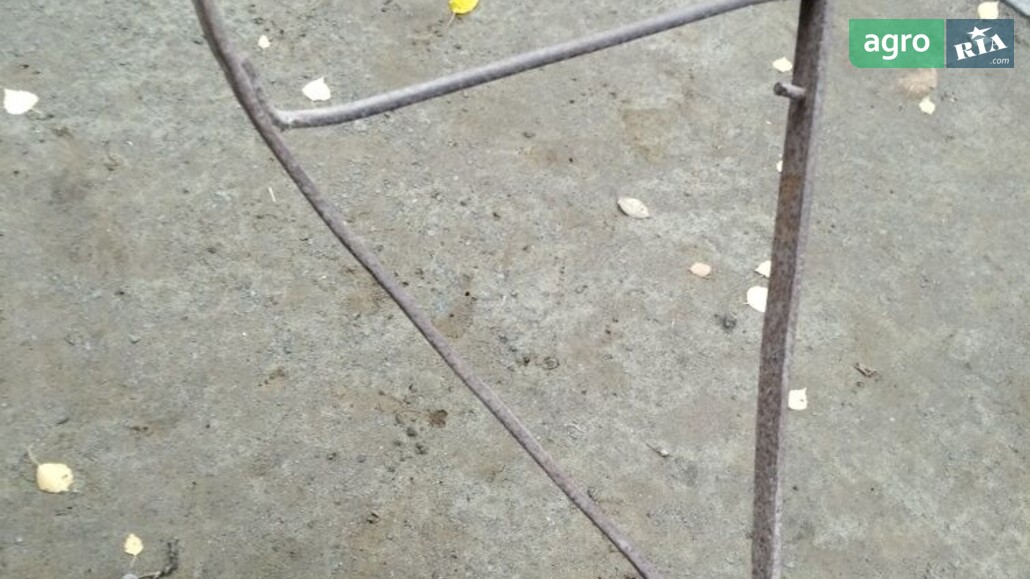 Плуг Саморобний   2010 - фото 1