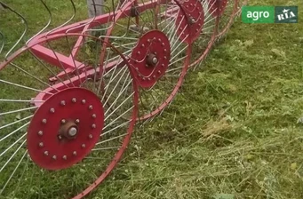 Граблі Саморобні   2000 - фото