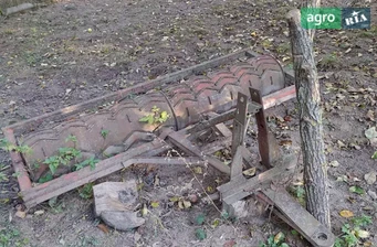 Коток польовий Саморобний   2000 - фото