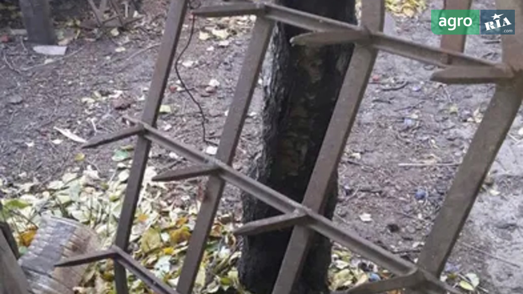 Борона Саморобна   1999 - фото 1