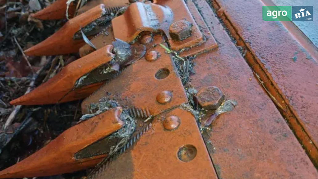 Ріпаковий стіл Саморобний   2014 - фото 1