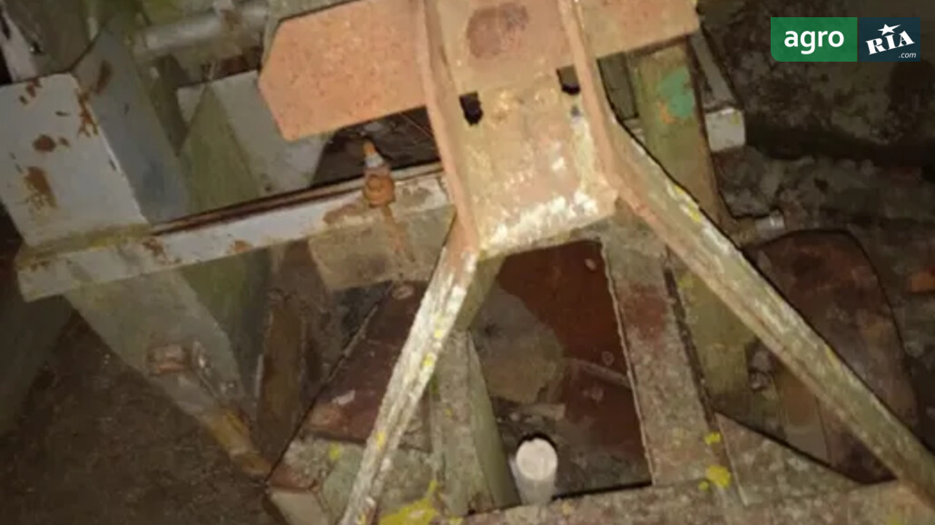 Саджалка Саморобна   2009 - фото 1