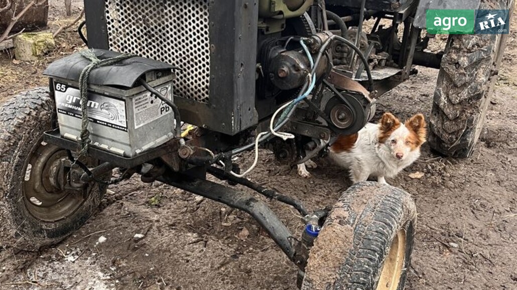 Мінітрактор Саморобний   2014 - фото 1