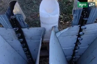 Сажалка Саморобна   2023 - фото