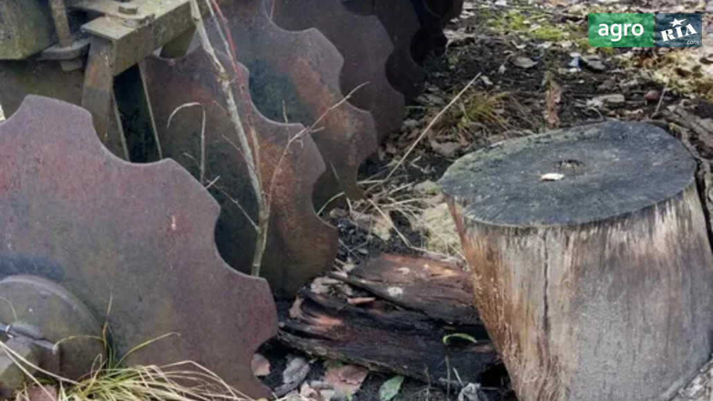 Борона Саморобна   2015 - фото 1