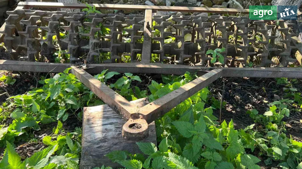 Коток польовий Саморобний   2010 - фото 1